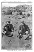Goldsucher in Australien, © Geological Survey 1904 Goldsucher in Australien, © Geological Survey 1904
